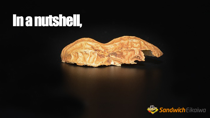 in a nutshell 意味