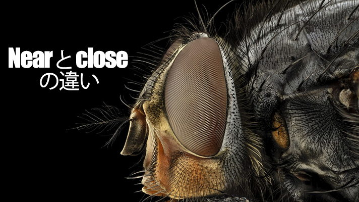 nearとclose の違い